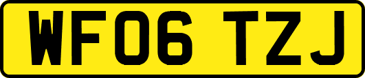 WF06TZJ