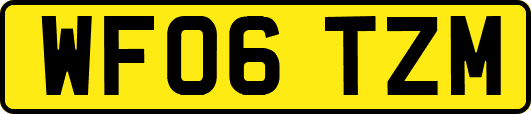 WF06TZM
