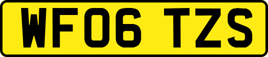 WF06TZS