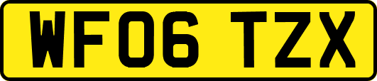 WF06TZX