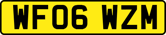 WF06WZM