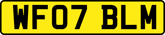 WF07BLM