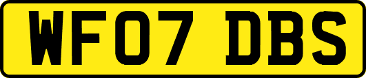WF07DBS