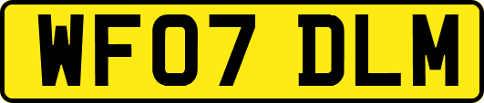 WF07DLM