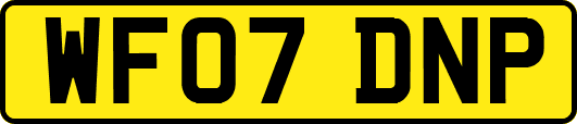 WF07DNP