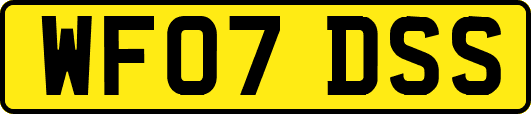 WF07DSS