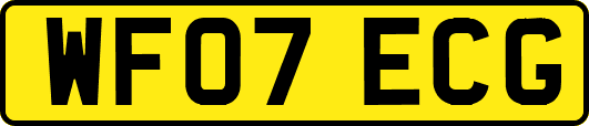 WF07ECG