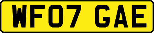 WF07GAE