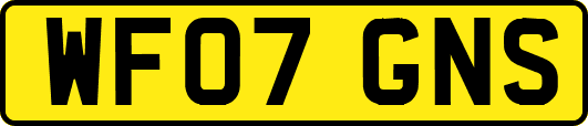 WF07GNS