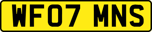 WF07MNS