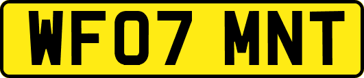 WF07MNT