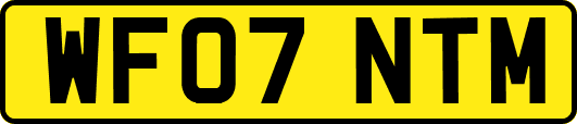 WF07NTM