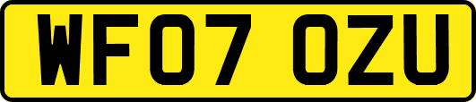 WF07OZU