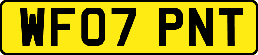 WF07PNT