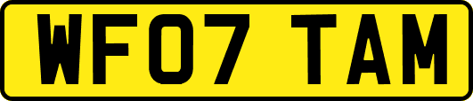 WF07TAM