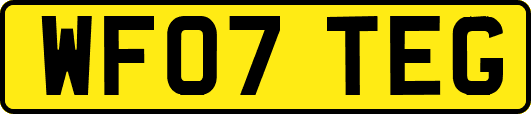 WF07TEG