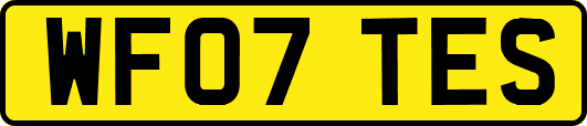 WF07TES