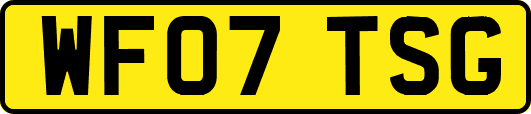 WF07TSG
