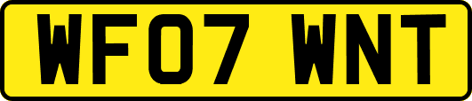 WF07WNT