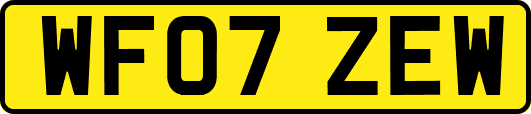 WF07ZEW