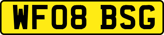 WF08BSG
