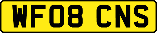 WF08CNS