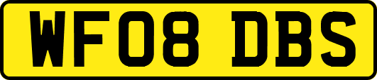 WF08DBS