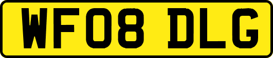 WF08DLG