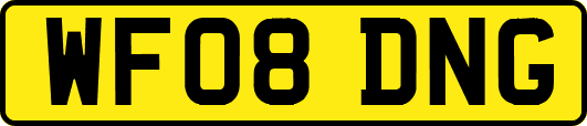 WF08DNG