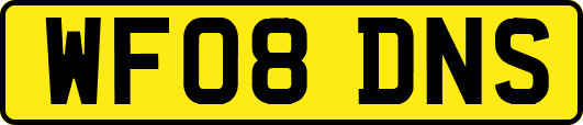 WF08DNS