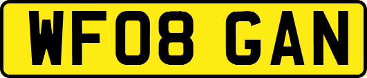 WF08GAN