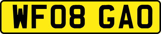 WF08GAO
