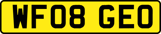 WF08GEO