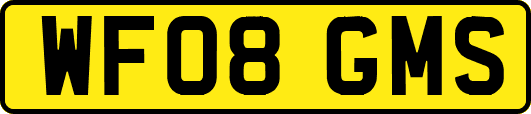WF08GMS