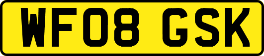 WF08GSK