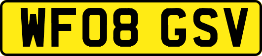 WF08GSV