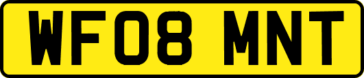 WF08MNT