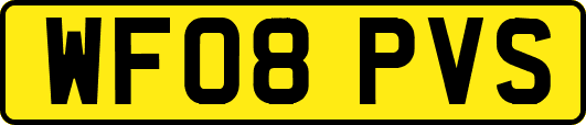 WF08PVS