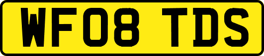 WF08TDS
