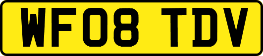 WF08TDV