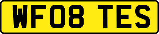 WF08TES