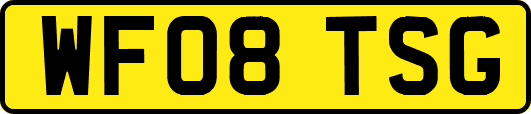WF08TSG