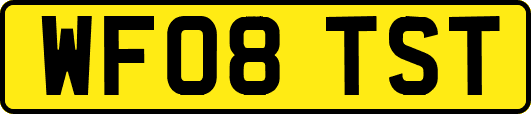 WF08TST