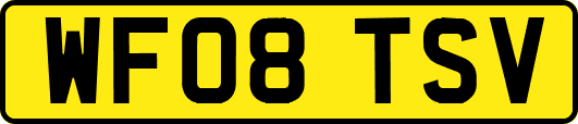WF08TSV
