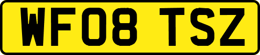 WF08TSZ