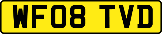 WF08TVD