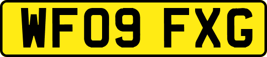WF09FXG