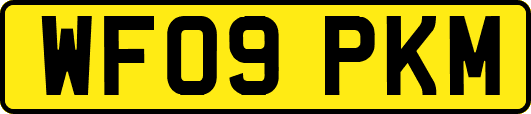 WF09PKM