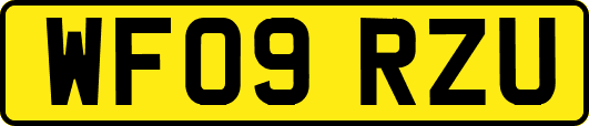 WF09RZU