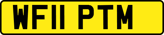 WF11PTM